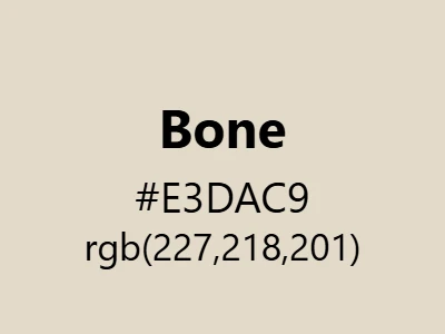 Visual example of bone color with its warm, organic appearance