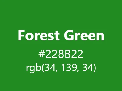 Visual example of forest green color with its rich, natural appearance