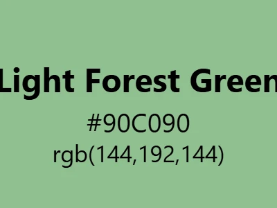 Visual example of light forest green color with its soft, natural appearance