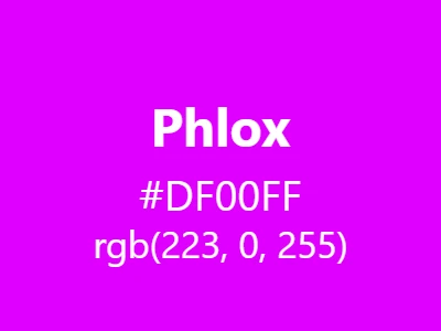 Visual example of Phlox color with its vibrant, floral-inspired appearance