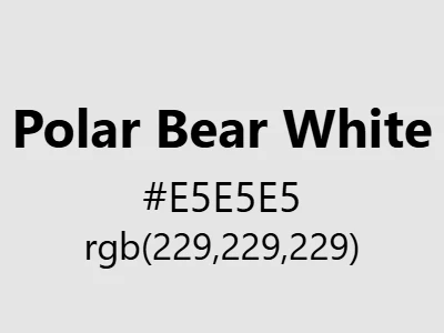 Visual example of polar bear color with its cool, arctic appearance