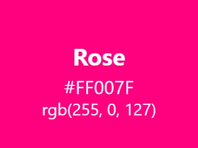 Visual example of rose color with its classic, romantic appearance