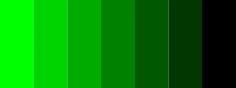 green and black color palette